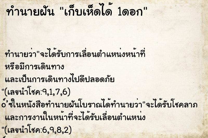 ทำนายฝัน เก็บเห็ดได้ 1ดอก